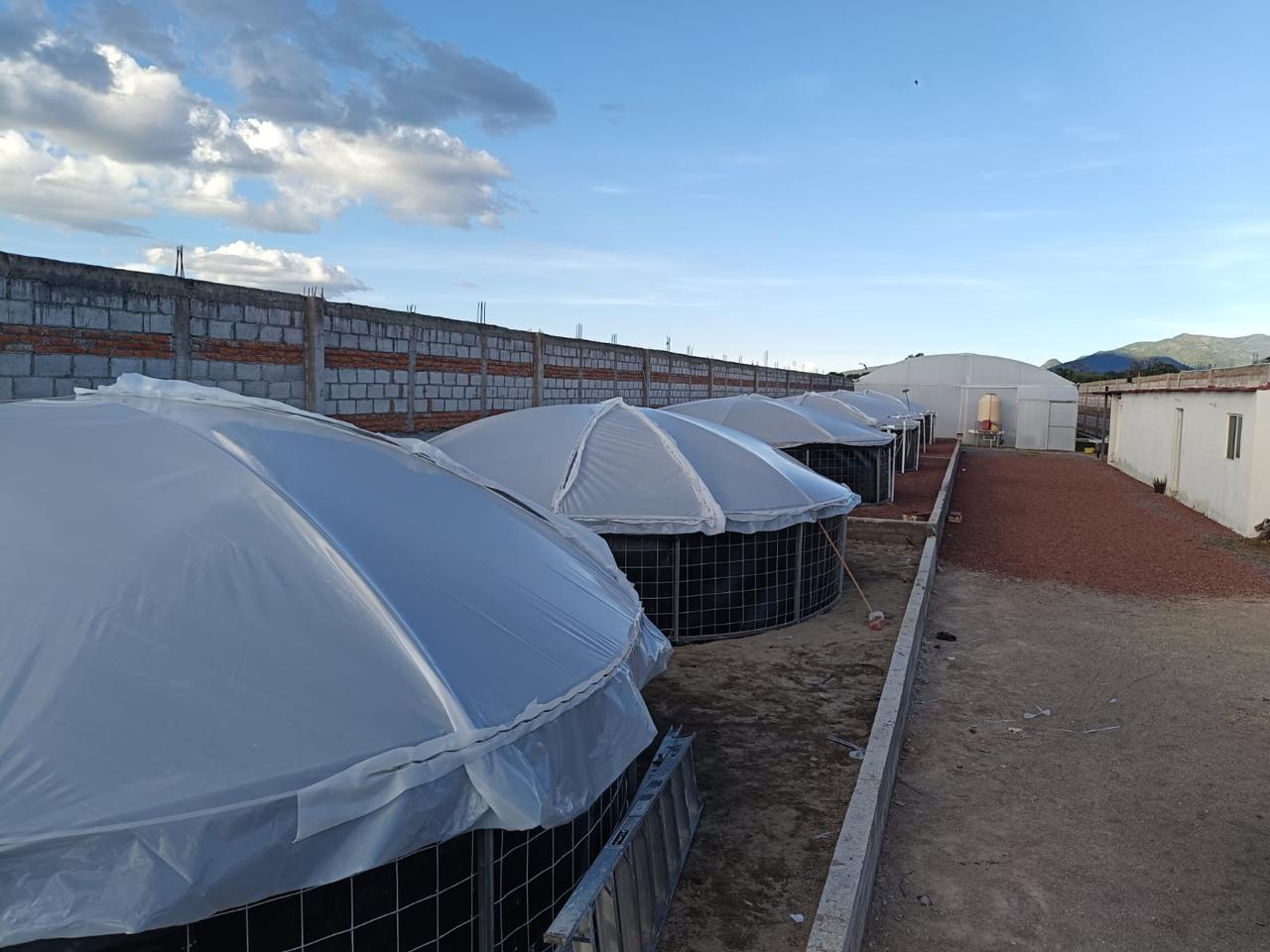 Estanques acuícolas - Proyecto